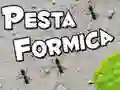 Igra Pčela Mrava online Igra Pčela Mrava online