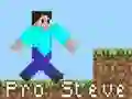 Igra Pro Steve online Igra Pro Steve online
