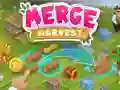 Igra Spoji Berbu online Igra Spoji Berbu online