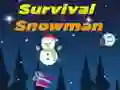 Igra Preživljavanje Snjegovića online