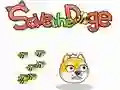 Igra Spasi Doge online Igra Spasi Doge online