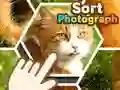 Igra Sortiraj fotografije online Igra Sortiraj fotografije online