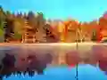 Igra Online Simulator Ribolova online