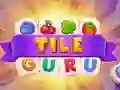 Igra Guru Pločica online