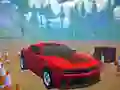 Igra PARKIRAJ TO online