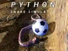 Igra Python Simulator zmije online Igra Python Simulator zmije online