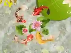 Igra Ribnjak s koi ribama online Igra Ribnjak s koi ribama online
