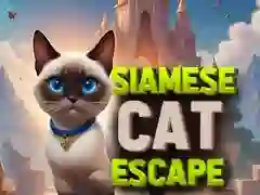 Igra Bijeg siamske mačke online Igra Bijeg siamske mačke online