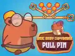 Igra Spasi bebu kapibaru Pull Pin online