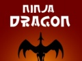 Igra Nindža Zmaj online