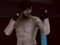 Igra MFS: MMA Borac online