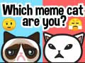 Igra Koji ste meme mačka? online