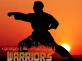 Igra Karate Ratnici Zalaska Sunca online