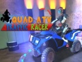 Igra Quad ATV Trkač u Prometu online