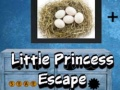 Igra Bijeg male princeze online