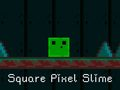 Igra Kvadratni Pixel Slime online