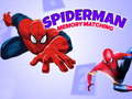 Igra Igra Pamćenja Spidermana online