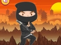 Igra Obučeni Ninja Puzle online