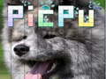 Igra PicPu Pas online