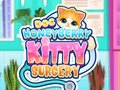 Igra Doktor HoneyBerry Operacija Mačića online