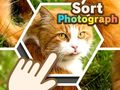 Igra Sortiraj fotografije online