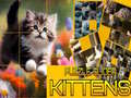 Igra Puzzle Klizajući Mačići online