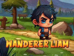 Igra Putnik Liam online