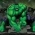 Hulk  online